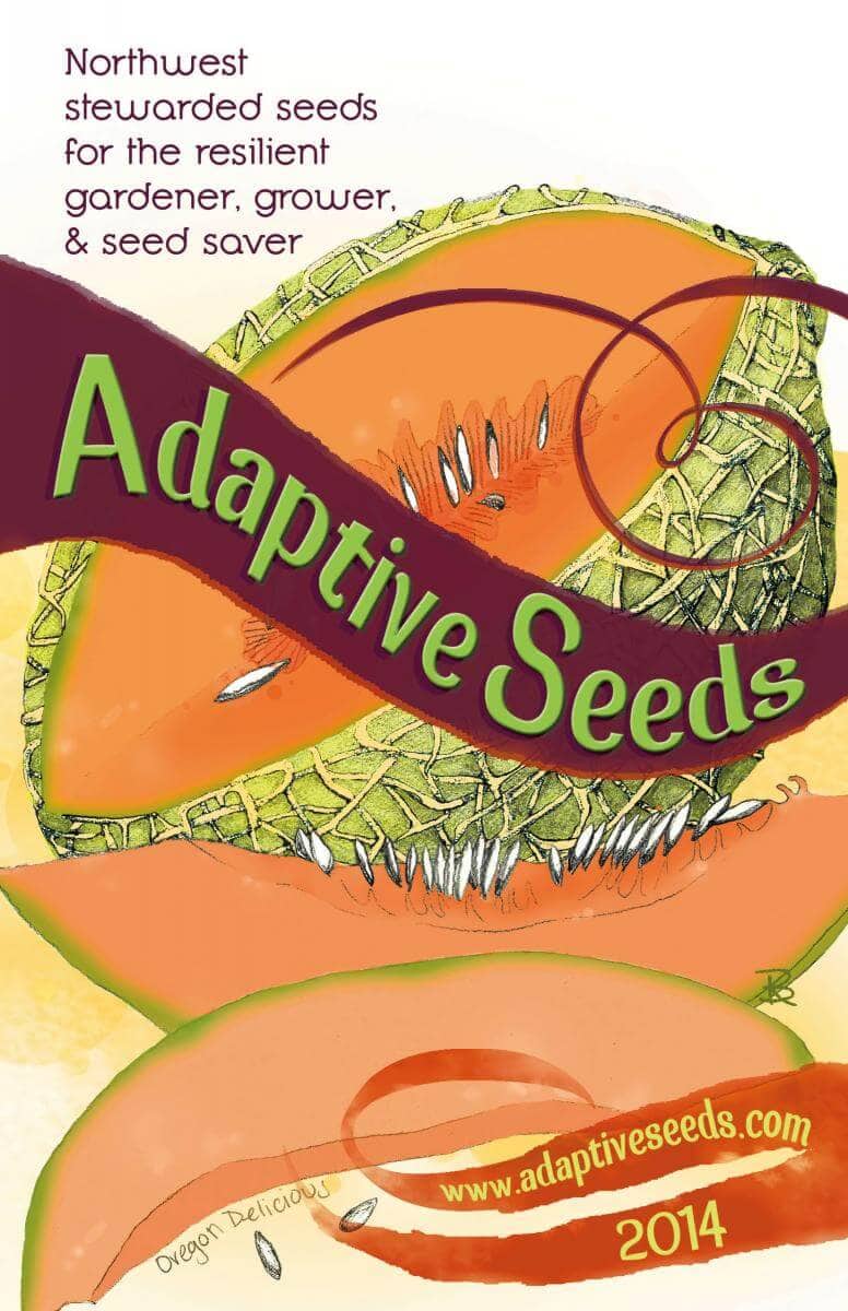 How To Order Adaptive Seeds
