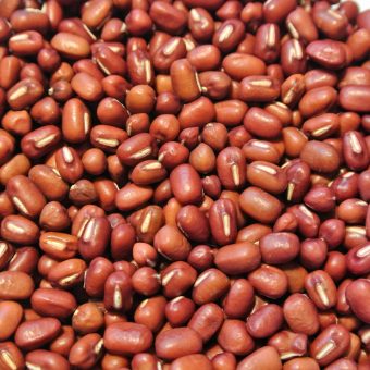 Organic Hokkaido Adzuki Bean seed