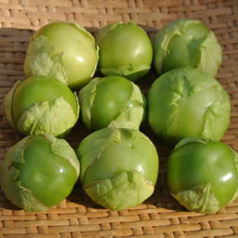 Organic Tomatillo Cisineros seeds