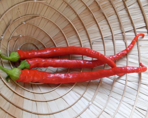 Organic Maria Nagy's Transylvanian Hot Pepper seeds