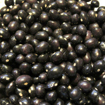 Organic Poletschka Pole Dry Bean seed