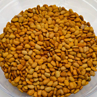 Organic Sacaton Brown Tepary Bean