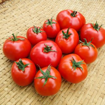 Organic Forest Fire Tomato Seeds