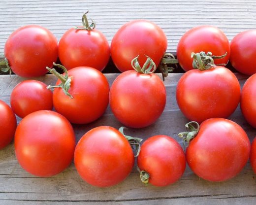 Tomato Deutsche Fleiss