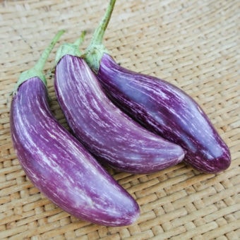 Organic Tsakoniki Eggplant Seed