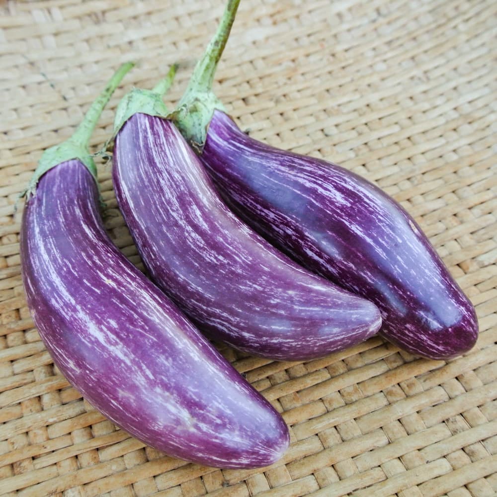 Кусочки баклажана. Баклажан Лейре. Баклажан бело фиолетовый. Необычные баклажаны. Баклажаны семена из Греции.