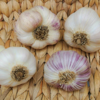 Garlic & Shallots