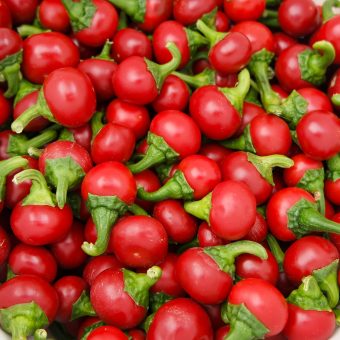 Organic Szentesi Cherry Hot Pepper seed
