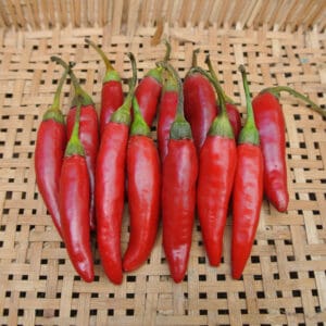 Hot Pepper, Targu Mures (Organic)