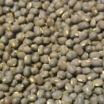 Bean, Kali Black Gram (Organic)