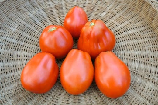 Tomato, Belmonte Pear (Organic)