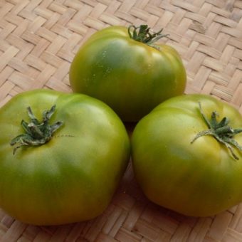 Tomato, Grüne von Helarios (Organic)