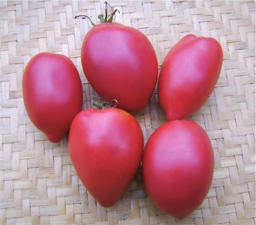 Tomato, Iraqi Heart