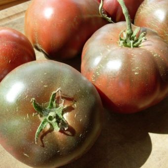 Tomato, Lila Sari (Organic)
