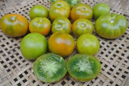 Tomato, Lime Green Salad (Organic)