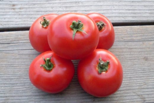 Tomato, Santiam (Organic)
