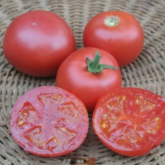 Tomato, Sarah Purple (Organic)