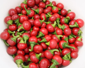 Hot Pepper, Szentesi Cherry (Organic)