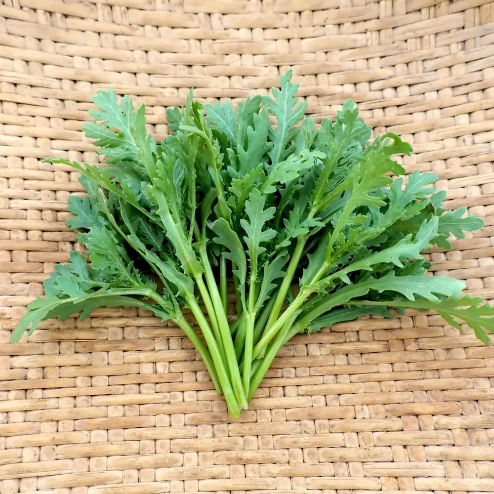 Shungiku, Komi (Organic) - Adaptive Seeds