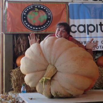 Pumpkin, Dill's Atlantic Giant (Organic)