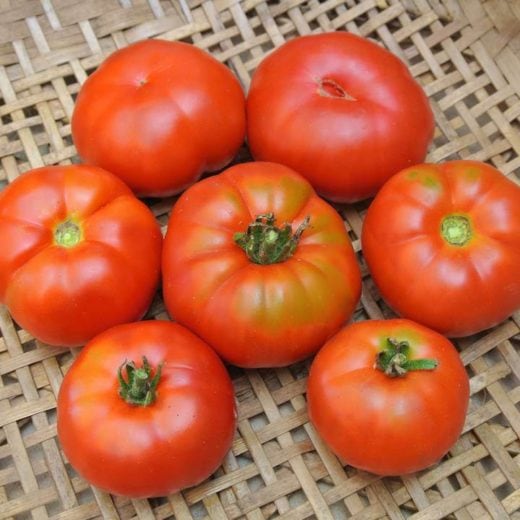 Tomato, Marmande (Organic)
