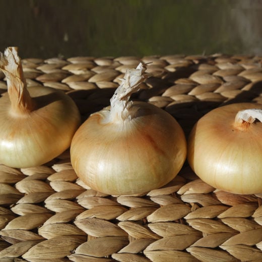 Onion-Cipolla-di-Rovato