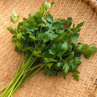 Organic Einfache Schnitt 3 Parsley Seed