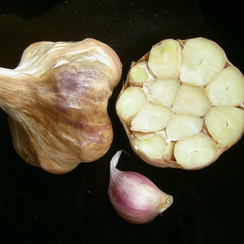 Roots Organic - Paste Garlic Organic