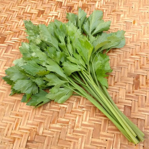 Chai Thai Celery Leaf