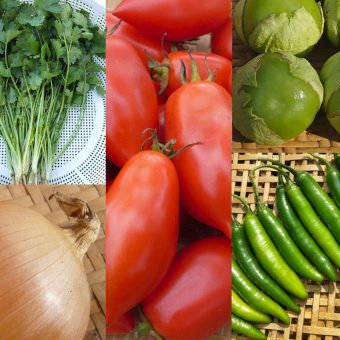 organic salsa celebration seed collection