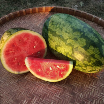 Organic Nancy Watermelon seed