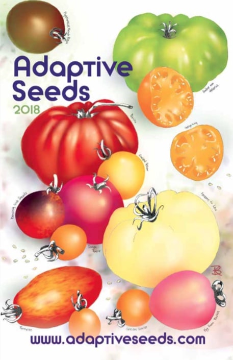How To Order Adaptive Seeds