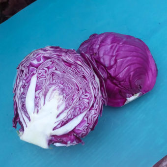 cabbage amarant