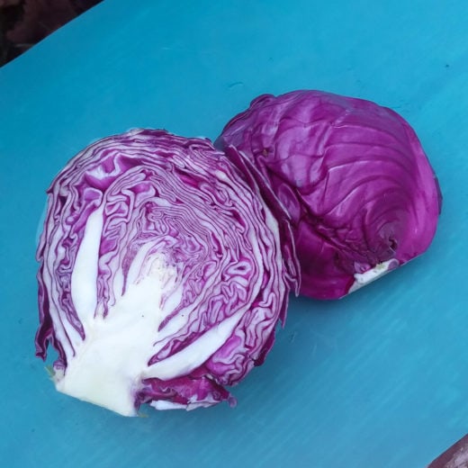 cabbage amarant