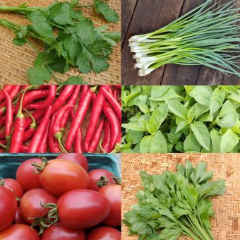 Organic temperate thai garden seed collection