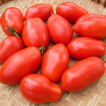 organic napoli roma tomato seed