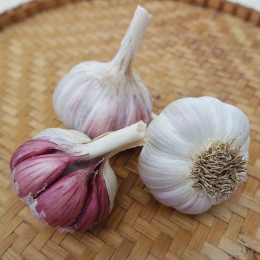 Donostia Red Garlic