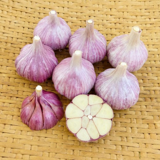 Organic Shvelisi Seed Garlic marbled hardneck