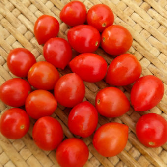 Organic Gardener's Sweetheart Tomato seed