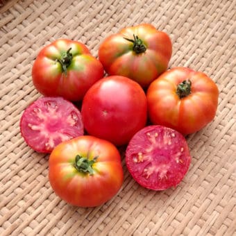 Organic Ararat Flame Tomato Seeds