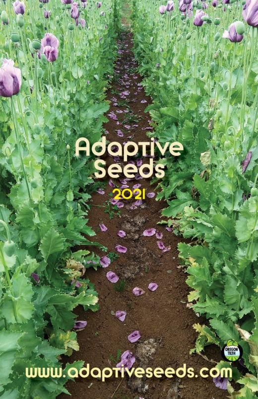 2021 Adaptive Seeds Catalog Cover