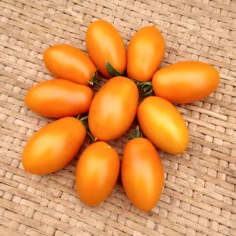 Organic Justyna Tomato seed