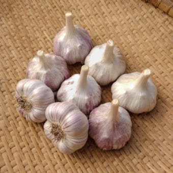 Organic Vekan Vekak seed garlic