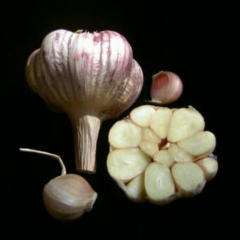 Organic Bangkok seed garlic