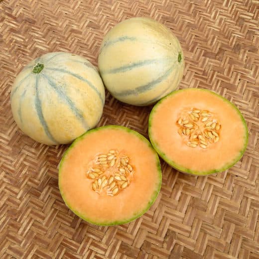 Organic Charentais Superprecoce Du Roc Melon seeds