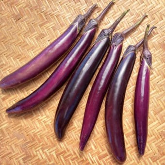 Organic Poamoho Dark Long Eggplant Seed