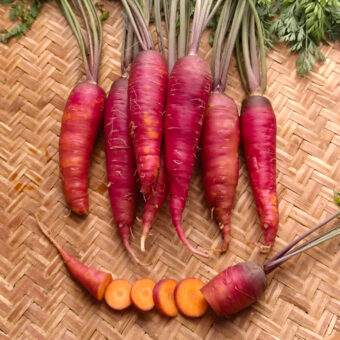 Organic Cosmic Purple Carrot Seed