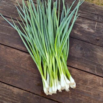 Organic Green Onion, Ton Hom Nuan Scallion Seed