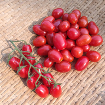 Tomato, Thai Grape (Organic)