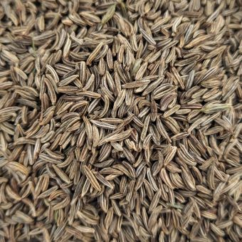 Organic Sprinter Caraway Seed